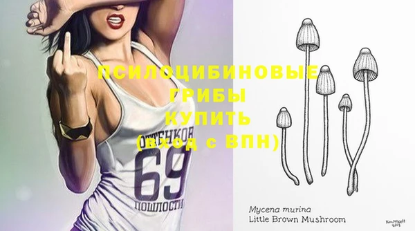 метамфетамин Белокуриха