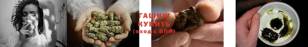 каннабис Бородино