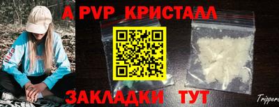 тгк Бердск
