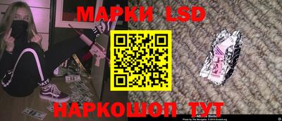 тгк Бердск