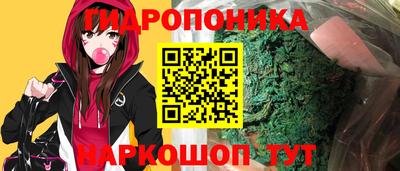 тгк Бердск