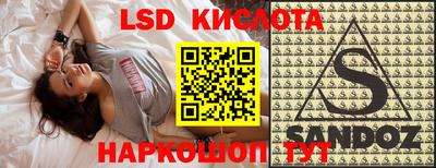 тгк Бердск