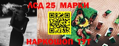 тгк Бердск
