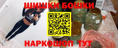 тгк Бердск
