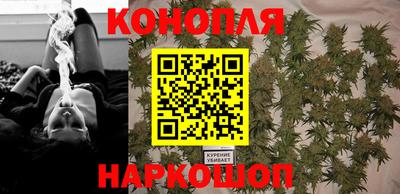 тгк Бердск