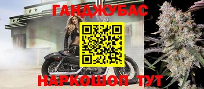 тгк Бердск
