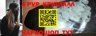 тгк Бердск