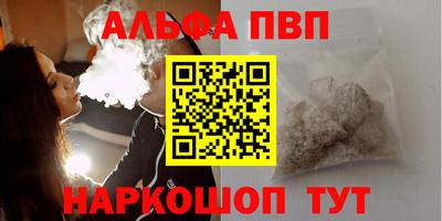 тгк Бердск