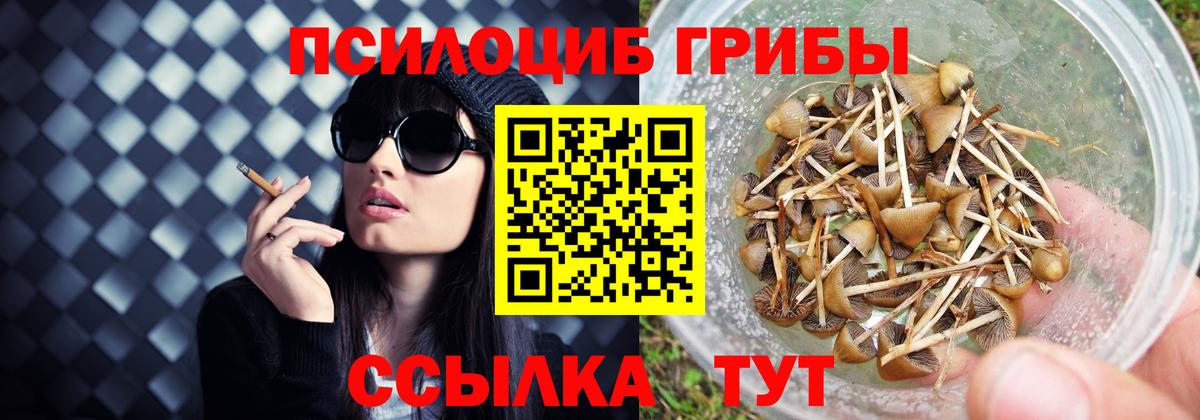 продажа наркотиков  Вход с VPN  Воркута  Псилоцибиновые грибы Cubensis 
